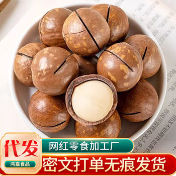 Macadamia Cream Flavor Bulk Walnut Summer Fruit Casual New Year Nut Snack Macadamia Fruit