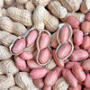 Fresh Shelled Peanuts, Dried Raw Peanuts, Farm Sun-Dried Pink-Skinned Peanuts, Seasonal New Goods, Commercial Wholesale