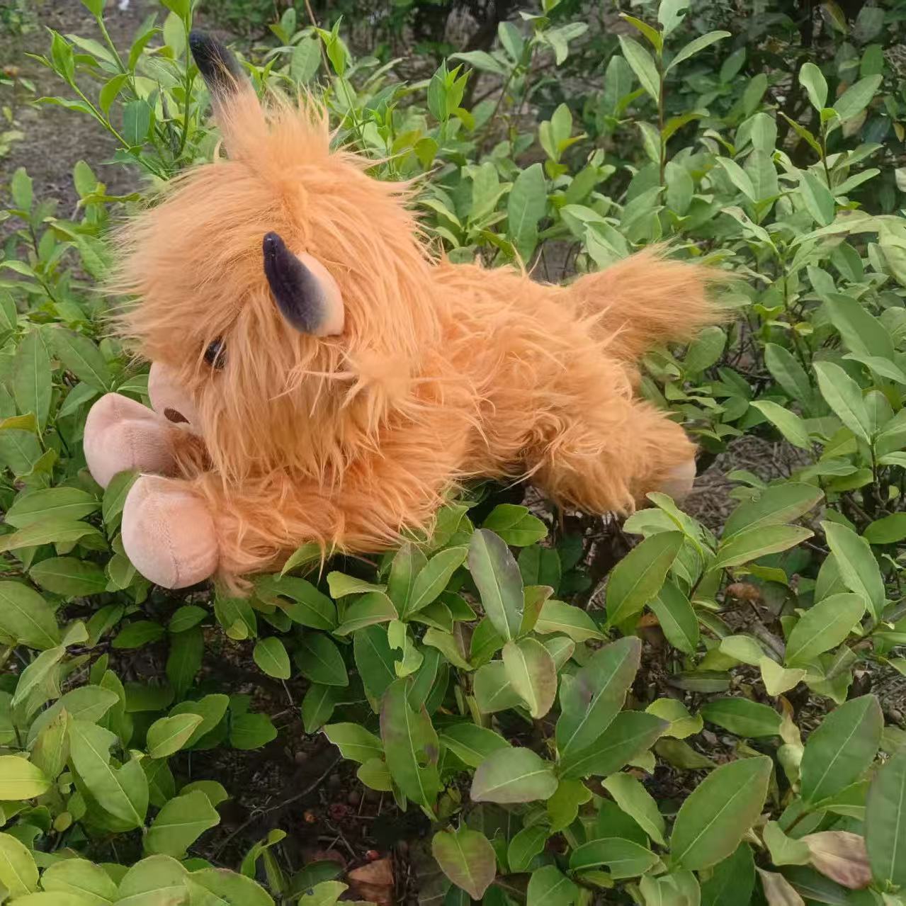 跨境现货长毛牛Highland Cow仿真苏格兰高地牛动物毛绒玩具公仔