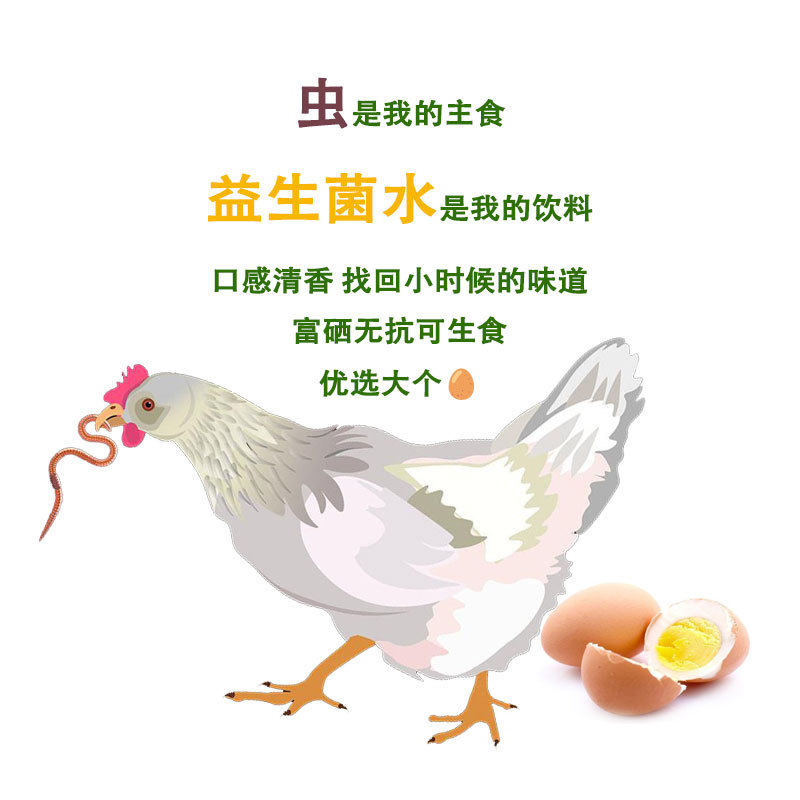 Can Be Eaten Raw, Selenium-Rich, Anti-Microbial-Free Fresh Eggs, Non-Local Free-Range Wood-Fired Eggs, 30 Probiotic Cordyceps Eggs, One Piece for Drop Shipping