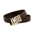 A gold buckle-brown