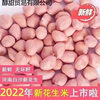 Raw Peanuts Wholesale, Freshly Peeled Peanuts, New Arrival, Powdered Rice, No Shell, Oil Extraction, White Sand Peanut Kernels