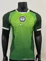 Players, 2627 nigeria home