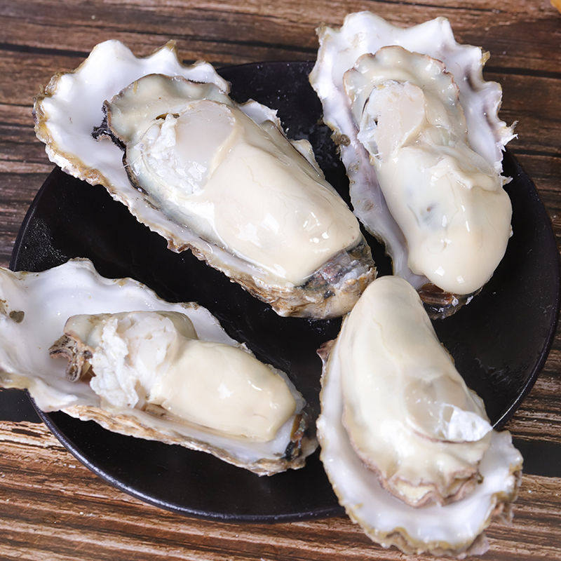 2.5kg Free Shipping Oysters Fresh Oysters Ready-To-Eat Seafood Barbecue Fresh Seafood Shelled Aquatic Products Sea Oysters