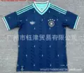 2526germany away game