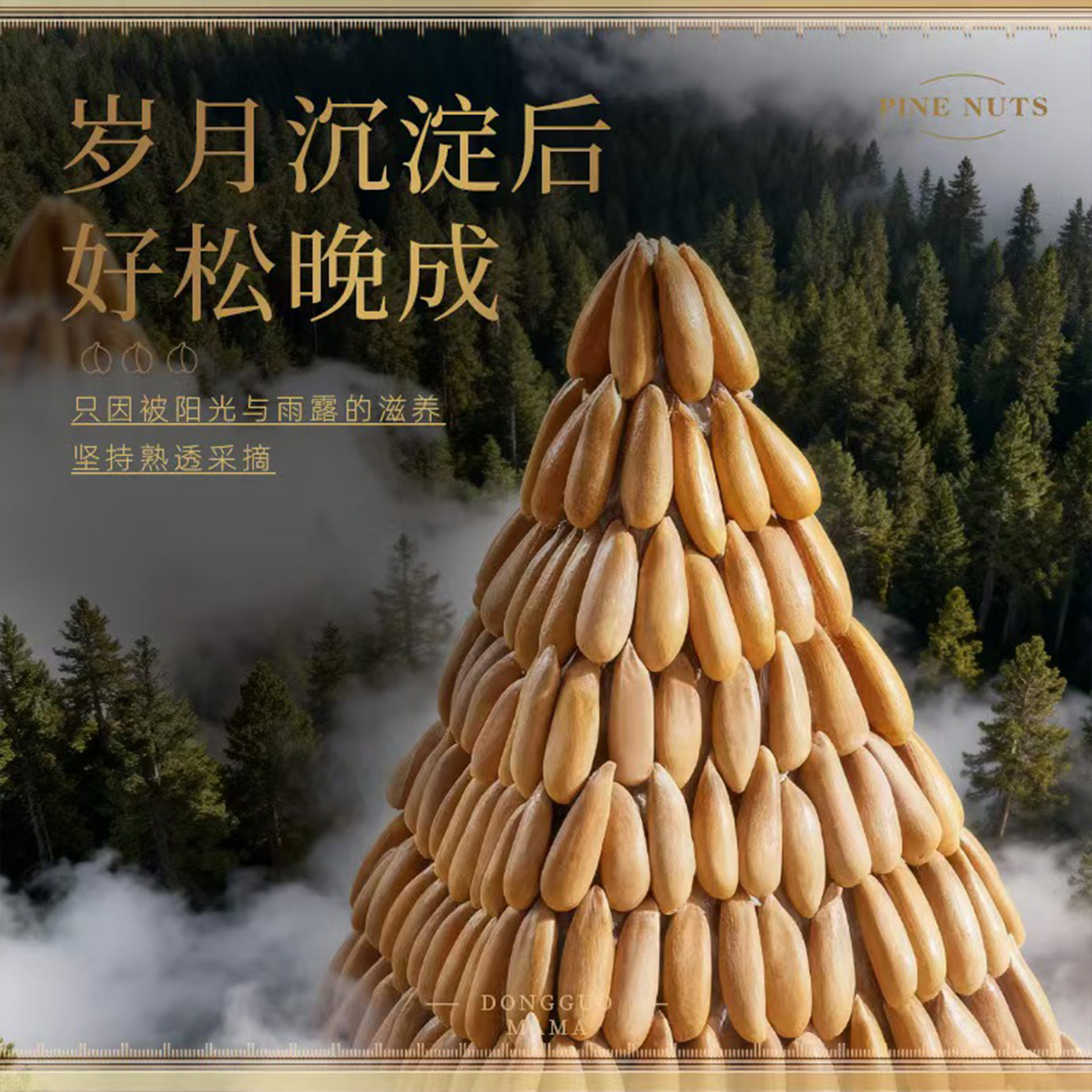 Brazilian Pine Nuts 2025 New Arrival Afghan Non-Special Extra Large Hand Peeled Pine Nuts Imported Snacks Nuts Northeast