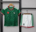 World cup fan kit - mexico home (branded)