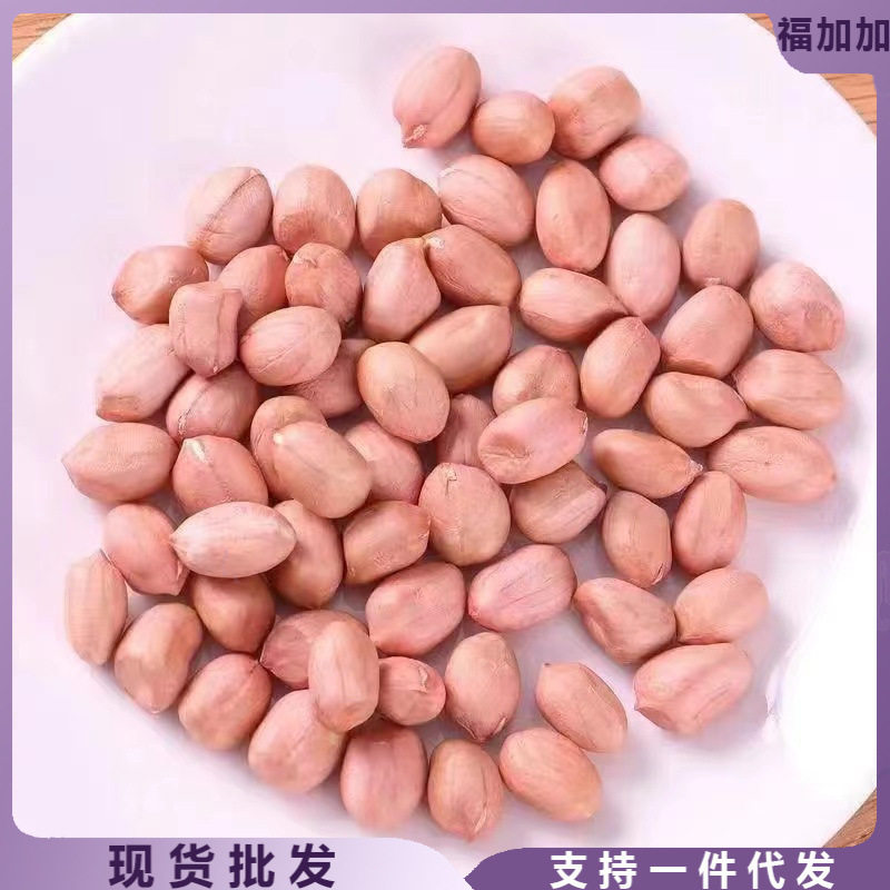The new peanut is preferably raw peanut bean powder peanut organic peanut large peanut kernel oil and wine 5kg