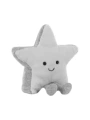 Silver star