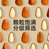 Fresh Northeastern Pine Nuts from Heilongjiang, Extra Large, Hand-Peeled, Small Packaged, Original Flavor