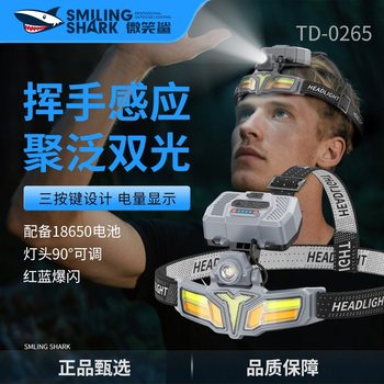 Cross-Border New Outdoor Lighting Strong Light Induction Headlight Rechargeable Night Fishing Head-Mounted Work Light Lightweight and Long Battery Life