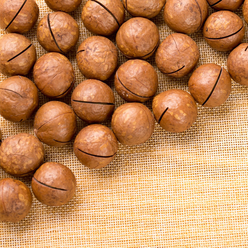 Bigenfruit mixed nuts casual snack gift package bulk dried fruit Hawaiian fruit fried goods gift box wholesale for the new year