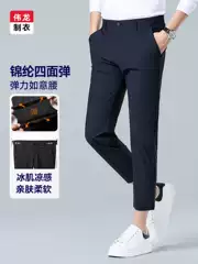 Men's Nine-Point Casual Pants, Ice Silk Cool-Feel Youth Business Dress Pants, Summer New Style, Wrinkle-Free Slim-Fit Formal Pants