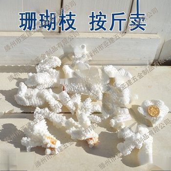 Natural Coral Stone Conch Shell Real Coral Fragments Fish Tank Bottom Decoration Floor Decoration