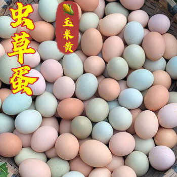 Authentic Free-Range Rural Eggs, Fresh Pink-Green Shell Black Chicken Eggs, Nutritious Eggs for Children and Pregnant Women, Whole Box Wholesale
