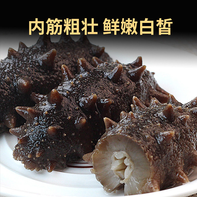 Dalian Wild Fresh Sea Cucumber Ready-To-Eat Sea Cucumber Fresh Liaoning Sea Cucumber Sea Cucumber Single Gift Box Instant Special Price