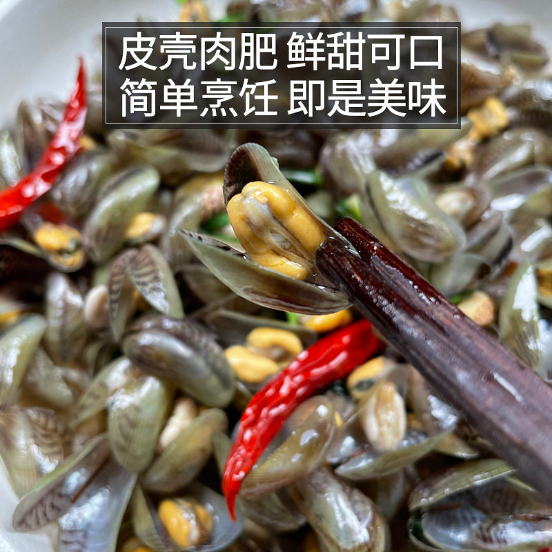 Free Shipping on Seafood, Aquatic Products, Sea Melon Seeds, Fresh Shellfish on the Same Day, Sf Sea-Caught Thin-Shelled Snails, White-Shelled Snails, Sea-Free