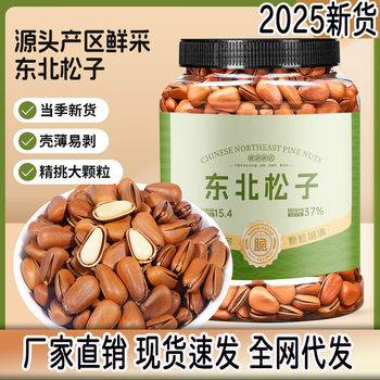 New Northeastern Squirrel Pine Nuts 500g Net Weight Canned Nuts Original Flavor Large Kernels Ready-To-Eat Snacks Wholesale Dropshipping