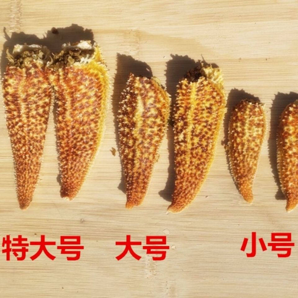 Fresh Seafood Starfish with Full Seeds and Full Yellow Sea Star Legs, Quick-Frozen Sea Star