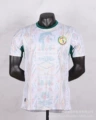 2026 Senegal Home - In Stock