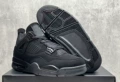 Aj4 rich black cat