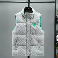 2025 Cross-Border Fashion Cotton Vest Men's Winter Handsome Youth Waistoutwear Vest Warm Casual Jacket Trendy P15