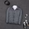 gray stand collar