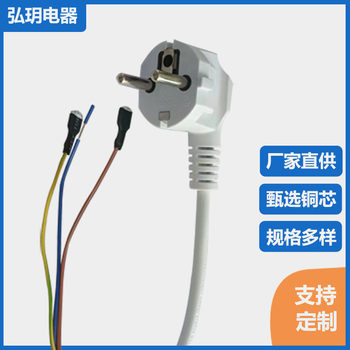 Electric Kettle Tea Stove Connection Cable 0.5 Square Millimeter 0.75 Square Millimeter Copper Wire 4.8 Spring Plug European Standard Power Cord with Plug
