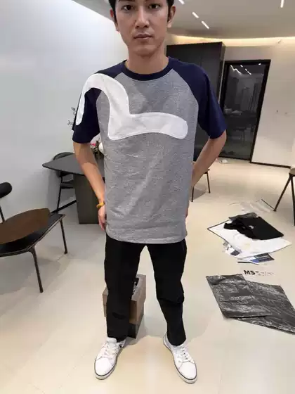 Summer Seagull 2025 Patchwork Short-Sleeved T-Shirt New Trendy Brand Hot Style Round Neck Contrasting Color Couple Men and Women Pure Cotton