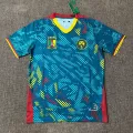 26-27 cameroon home game