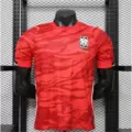 26-27 south korea home game