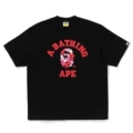 1343 black