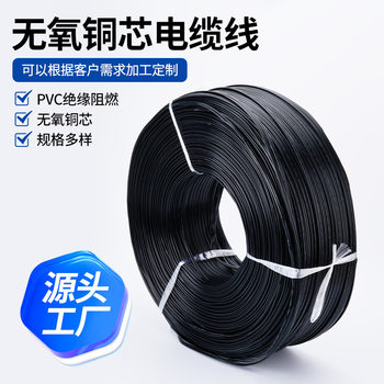 European Standard Power Cord American Standard Oxygen-Free Copper Core Cable Two-Core Dc Power Cord Pvc Digital Wire Connecting Wire