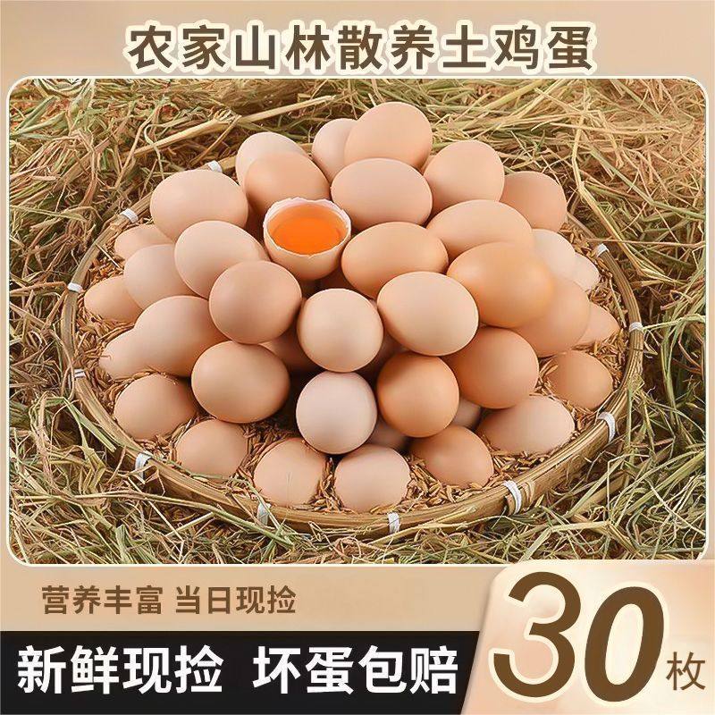 Fresh Farm-Raised Free-Range Eggs, Natural Eggs, Free-Range Eggs, Freshly Picked Eggs, Rice Husk Packaging