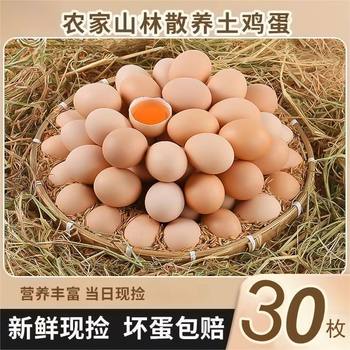 Fresh Farm-Raised Free-Range Eggs, Natural Eggs, Free-Range Eggs, Freshly Picked Eggs, Rice Husk Packaging