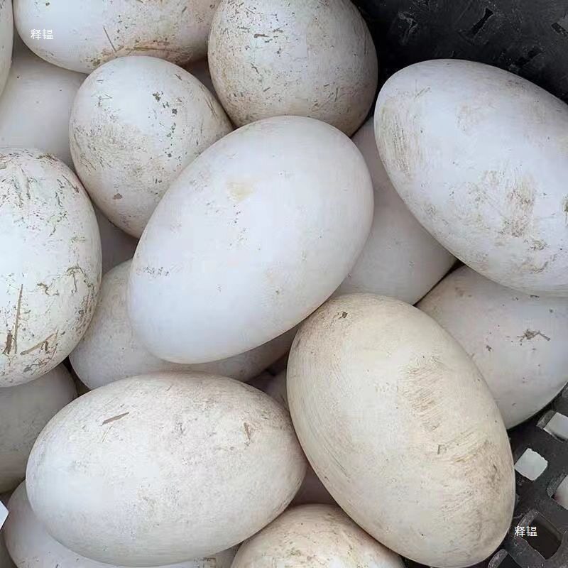 Extra Large Double Yellow Goose Eggs, Fresh Farm-Raised Free-Range Goose Eggs, Broken Eggs for Pregnant Women, Wholesale, Whole Box, Free Shipping