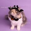 Pet Halloween knitted scarf cat dog ghost collar funny decorations cat and dog supplies wholesale
