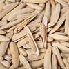 Xinjiang Specialty Pointed Chin Sunflower Seeds, Toothpick Sunflower Seeds, Long White Natural Large Thin-Skinned Sunflower Seeds, Delicious Snacks
