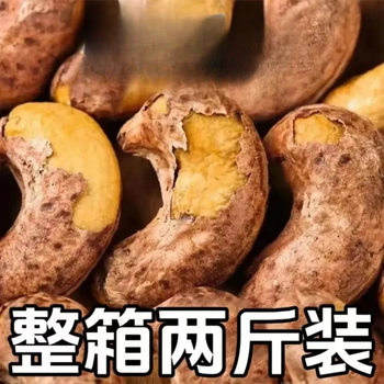 New Product] Charcoal Roasted Cashew Nuts with Skin Vietnam Cashew Nuts with Packaged Salt Baked Carbon Roasted Cashew Nuts Snacks