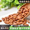 Open Pine Nuts 100g Bag Wholesale Large Particle Open Pine Nuts Nut Snacks Casual Snacks