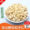 Pine Nuts 500g Small Package Cooked Raw 25 Years New Northeast Wild Pine Nut Meat Original Large Particles Ready-To-Eat Pine Nuts