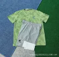 8044 green+d975 gray