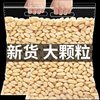 Pine Nut Kernel Pine Nut Cooked Flagship Store Official 2023 New Arrival Premium Extra Large Northeast Pine Nut Kernel Meat Wild Original Flavor Raw
