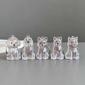 Source Manufacturer Cross-Border Multifunctional Test Paper Storage Box Cat and Dog Transparent Hair Toy Dustproof Pendant Decorative Box