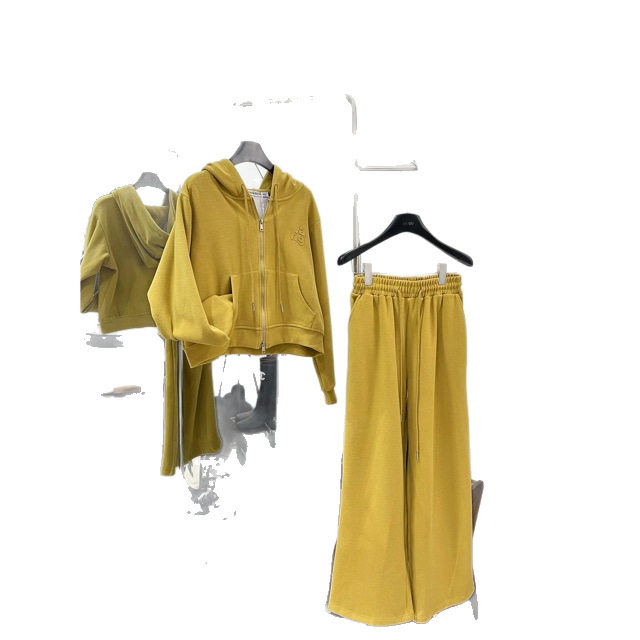 Shenzhen Nanyou Aw Soft Sweatshirt Sports Suit Women's Autumn and Winter Loose Korean Style Slim Wide-Leg Pants Two-Piece Trendy Set