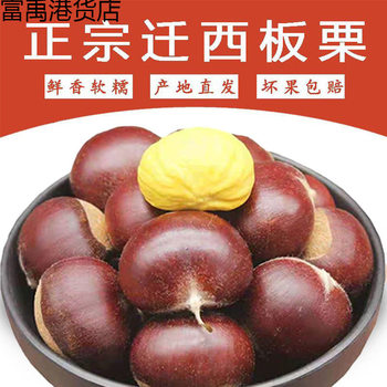 Qianxi Chestnuts, Raw Chestnuts, Fresh Raw Chestnuts, Fresh Chestnut Oil, Shelled Chestnuts, Wedding Supplies Factory, One Piece Wholesale