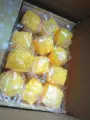 5cm square cheese pinch