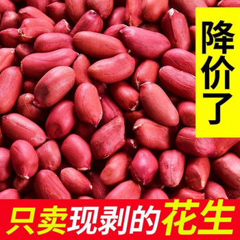 New Arrival of Peanuts, Red-Skinned Rice, Shell-Less Raw Four-Grain Raw Rice, Red-Skinned Peanuts, Farm Specialty