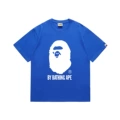 164 blue