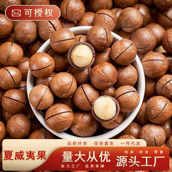 Macadamia Nuts Healthy Breakfast Snacks for Pregnant Women Large Nuts Roasted Seeds and Nuts Crispy Wholesale Price Rich in Milk Flavor